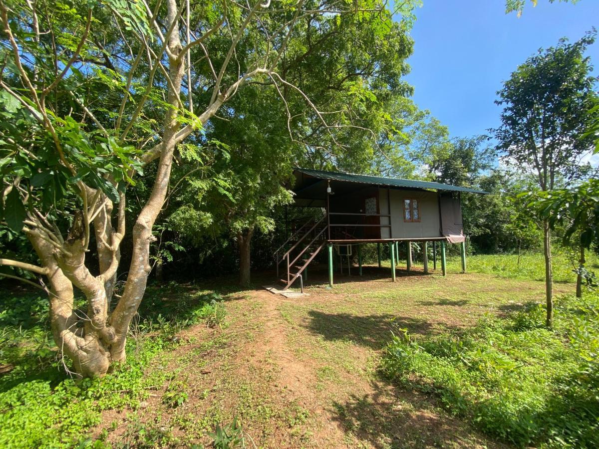 Mango Wilpattu Nekattegama