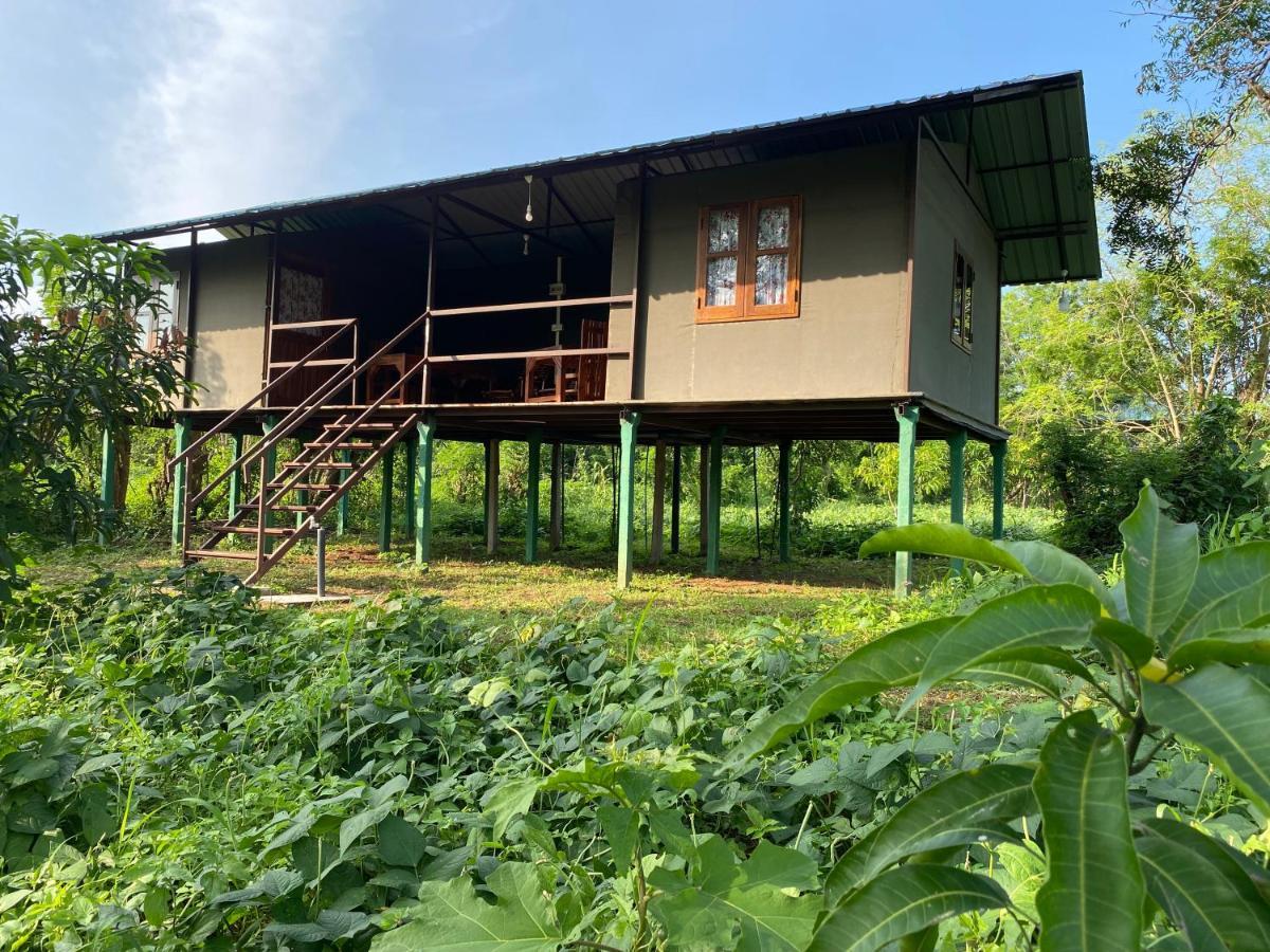 Luxury tent Mango Wilpattu Nekattegama