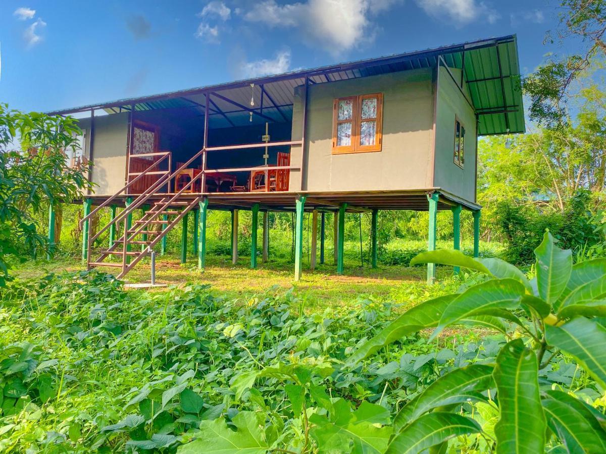 Luxury tent Mango Wilpattu *